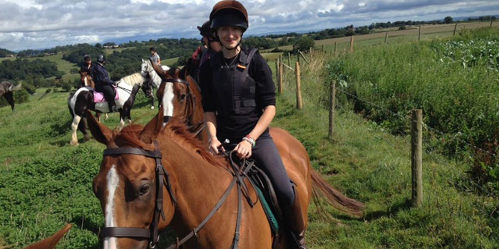 activities-bridles