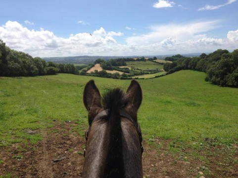 Horseback View
