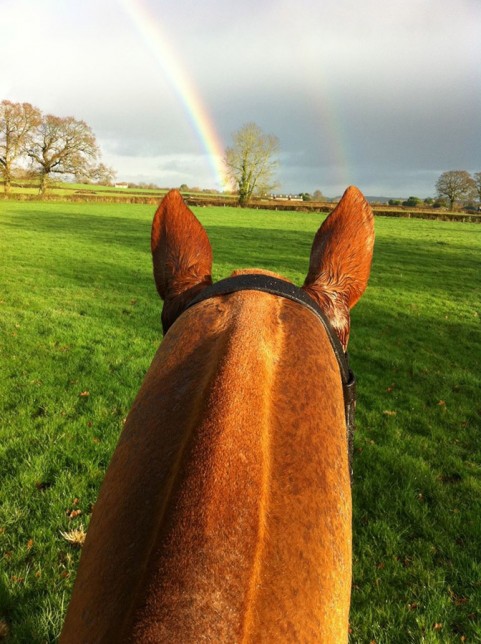 Horseback Rainbow