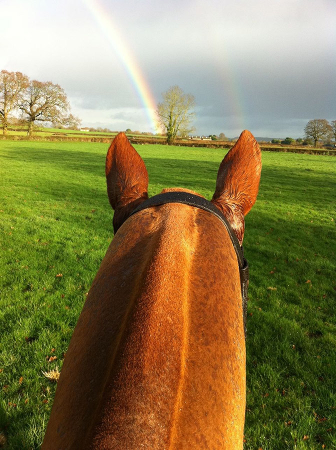 horseback-rainbow-gallery